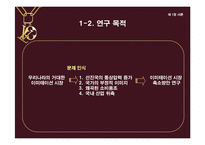 [의류산업과 유통론] 명품을 위협하는 한국 이미테이션 시장의 바람직한 미래상 제안-8