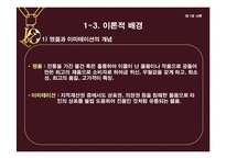 [의류산업과 유통론] 명품을 위협하는 한국 이미테이션 시장의 바람직한 미래상 제안-9