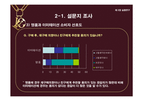 [의류산업과 유통론] 명품을 위협하는 한국 이미테이션 시장의 바람직한 미래상 제안-14