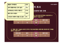 [의류산업과 유통론] 명품을 위협하는 한국 이미테이션 시장의 바람직한 미래상 제안-17