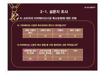 [의류산업과 유통론] 명품을 위협하는 한국 이미테이션 시장의 바람직한 미래상 제안-18