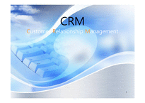 CRM 레포트-1