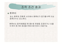 [분리공정] 물로부터 acetic acid를 분리하는 방법-19