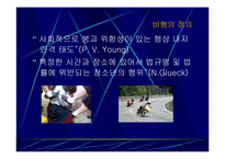 [비행청소년] 청소년비행-3