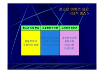[비행청소년] 청소년비행-10