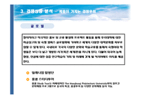 [광고] 숙명여자대학교 광고기획서-15