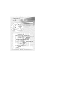 [세계화와 다문화주의] 안산시 ‘국경 없는 마을’-9