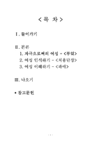 [문학] 김소진의 소설중 여성성-1