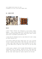 [제과제빵] 제과제빵과 한약재-16