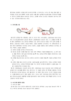[체육학] 배드민턴의 기본-9