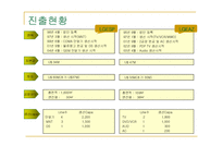 [국제경영학] LG전자의 브라질 진출사례-6