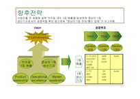 [국제경영학] LG전자의 브라질 진출사례-17