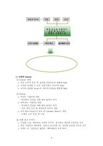 [식품관능평가] 소주 사례 분석을 통한 브랜드 성공요인 분석 및 향후 방향 설정-11