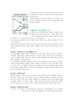 [사회복지] 결혼과 이혼에 관하여-7