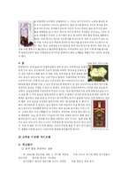 [인문사회계열] 웰빙문화와 보석-9