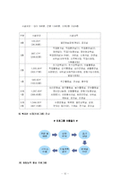[사회복지] 사회복지 행정론(장애인 복지의 행정)-13