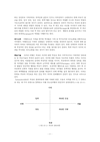 [사회복지] 비행청소년 가족의 서비스 현황과 대책-3
