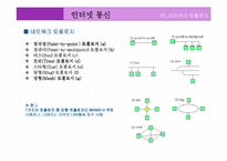 [컴퓨터 통신과 인터넷] 인터넷 통신-8