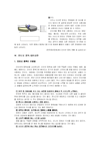 [인문사회계열] 인터넷 중독의 특성과 실태 및 대처방안-12