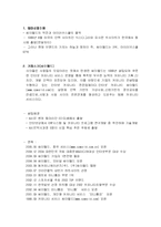 [인문사회계열] 아이러브 스쿨과 싸이월드 마케팅 전략분석-2