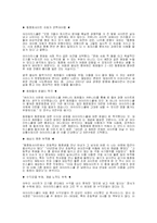 [인문사회계열] 아이러브 스쿨과 싸이월드 마케팅 전략분석-9