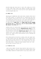 [인문사회계열] 관여도와 소비자 행동 유형 및 저관여 의사결정-13