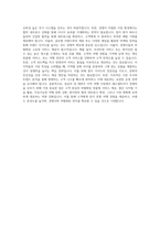 레드캡투어 동남아 대양주 담당 OP 자기소개서-4