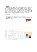 [마케팅조사]삼성 `하우젠세탁기` 마케팅 전략분석(A+리포트)-5