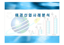 [마케팅조사](주)애경산업 기업분석 및 생활용품 마케팅 전략(A+리포트)-1