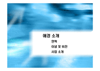 [마케팅조사](주)애경산업 기업분석 및 생활용품 마케팅 전략(A+리포트)-3