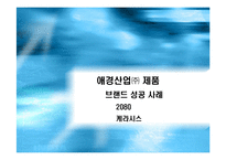 [마케팅조사](주)애경산업 기업분석 및 생활용품 마케팅 전략(A+리포트)-10