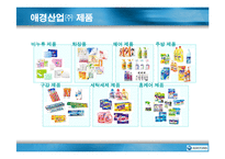 [마케팅조사](주)애경산업 기업분석 및 생활용품 마케팅 전략(A+리포트)-11