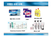 [마케팅조사](주)애경산업 기업분석 및 생활용품 마케팅 전략(A+리포트)-13