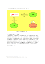 [전략경영]제휴마케팅의 파트너로서 마일리지 사업의 효과와 발전방향(A+리포트)-9