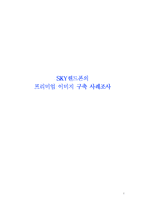 [브랜드마케팅]SKY핸드폰의 프리미엄 이미지 구축 사례조사(A+리포트)-1