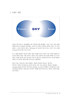 [브랜드마케팅]SKY핸드폰의 프리미엄 이미지 구축 사례조사(A+리포트)-6