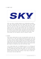 [브랜드마케팅]SKY핸드폰의 프리미엄 이미지 구축 사례조사(A+리포트)-7