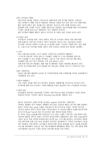[브랜드마케팅]SKY핸드폰의 프리미엄 이미지 구축 사례조사(A+리포트)-13