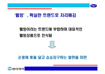 [브랜드마케팅]박카스의 시장선두 고수를 위한 커뮤니케이션 전략(A+리포트)-12