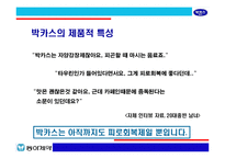 [브랜드마케팅]박카스의 시장선두 고수를 위한 커뮤니케이션 전략(A+리포트)-15