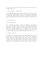 [마케팅기획서]젊은층 공략을 위한 애니콜 커뮤니케이션 전략 제안(A+리포트)-13