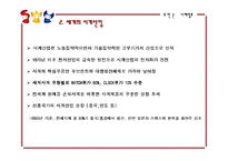 [국제마케팅] 로만손의 중동시장진출-6