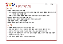 [국제마케팅] 로만손의 중동시장진출-8