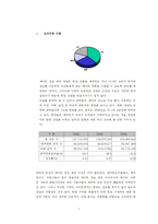 [사업계획서] 연예정보 포탈서비스-7