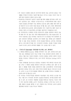 [사업계획서] 연예정보 포탈서비스-12