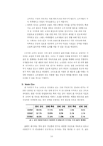 [사업계획서] 연예정보 포탈서비스-14
