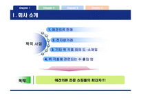 [사업계획서] 애견의류 전문 쇼핑몰-4