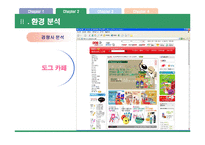[사업계획서] 애견의류 전문 쇼핑몰-12
