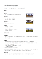 [도시행정론] 도시행정론(외국의 신도시)-2