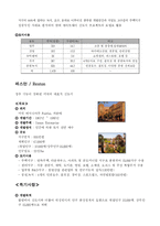 [도시행정론] 도시행정론(외국의 신도시)-3